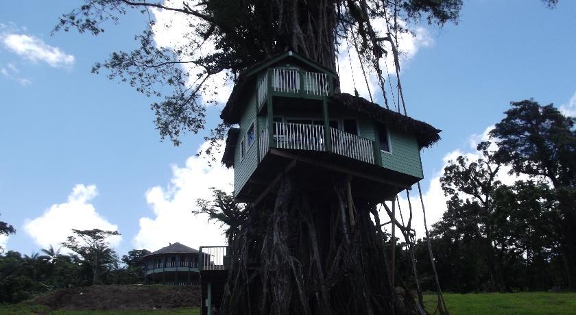 Отель Lupe Sina Treesort
