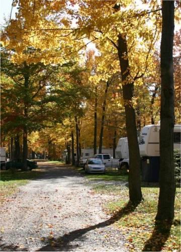 Отель Camping Domaine Madalie