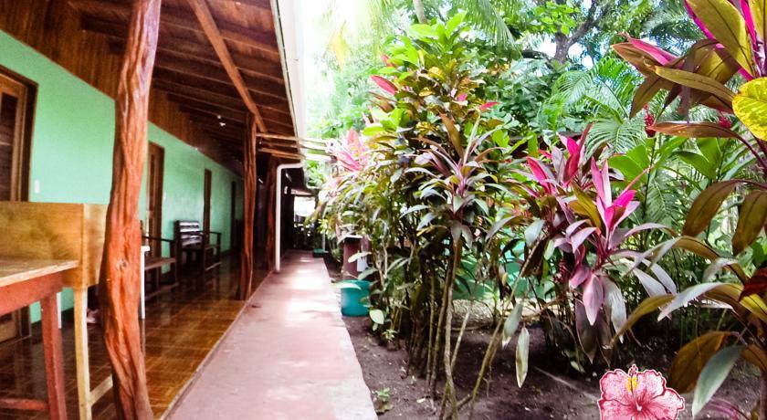 Отель Amapola Surf Village