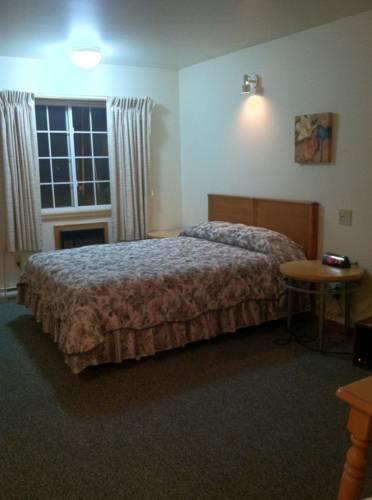 Отель Village Inn Motel