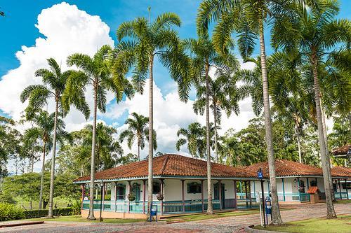 Отель Hotel Decameron Las Heliconias