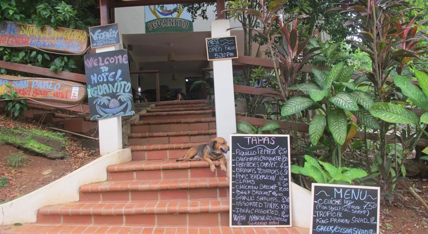 Отель Hotel Iguanito
