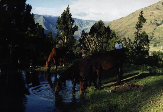 Отель Hacienda San Juan Pamba