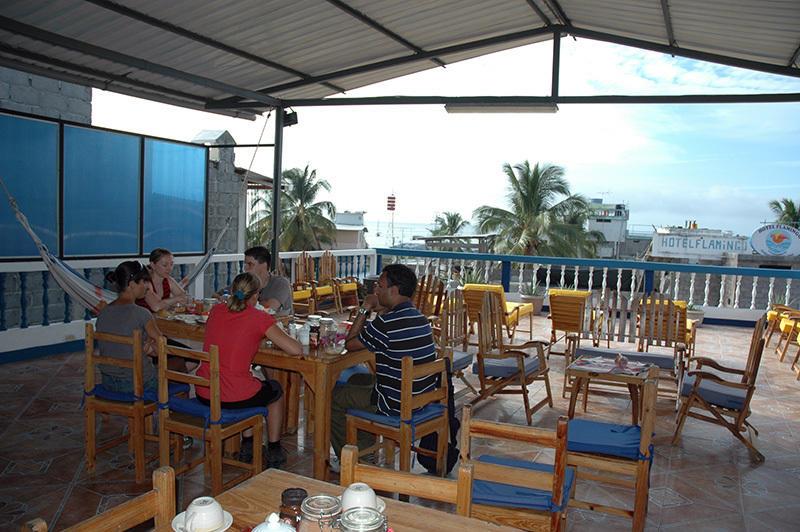 Отель Hotel Gardner