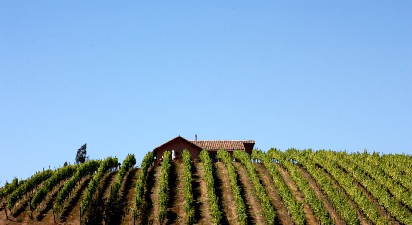 Отель Villa Miramar at Casa Marin Vineyards