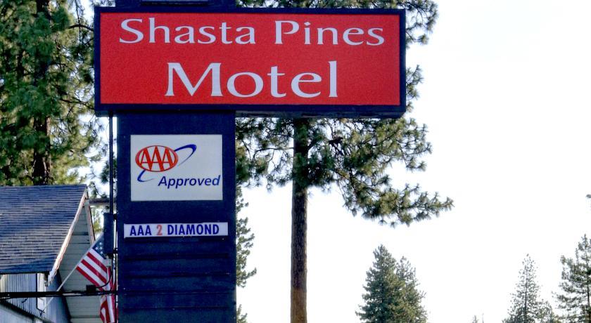 Отель Shasta Pines Motel