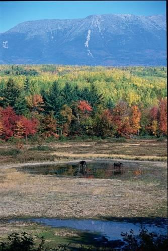 Отель New England Outdoor Center