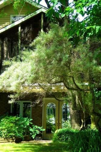 Апартаменты Crowe Bay Cottage