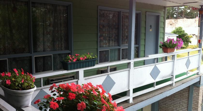 Отель Norwood Motel