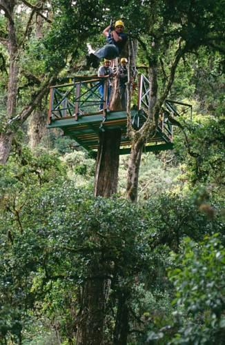 Отель Trogon Lodge