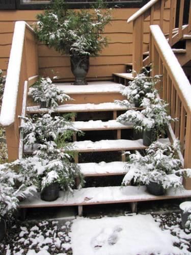 Мини-отель Shawnigan Lake Bed and Breakfast