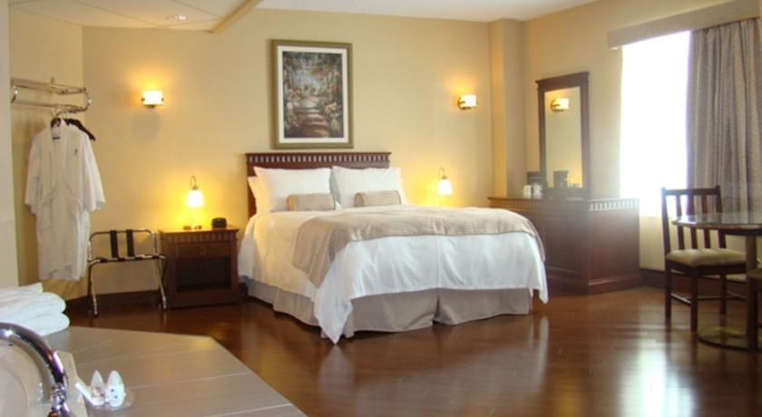 Отель Hôtel du Jardin