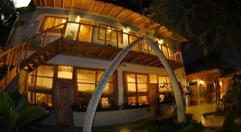 Хостел Kokopelli Hostel Mancora