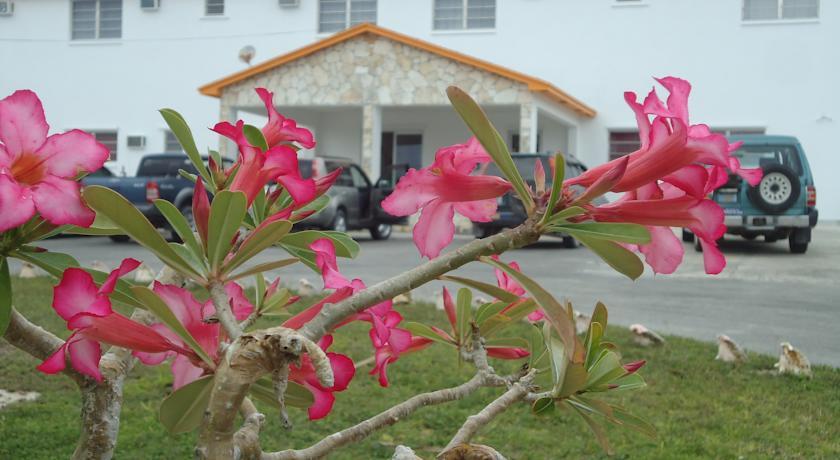 Апартаменты Orange Creek Inn