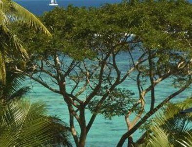 Отель Wellesley Resort Fiji