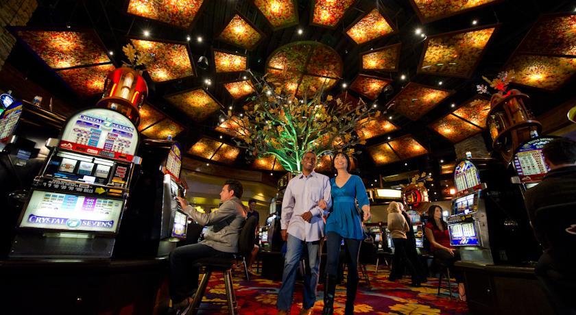 Отель The Hotel at Black Oak Casino Resort