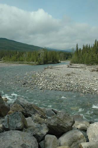 Отель Panther River Adventures
