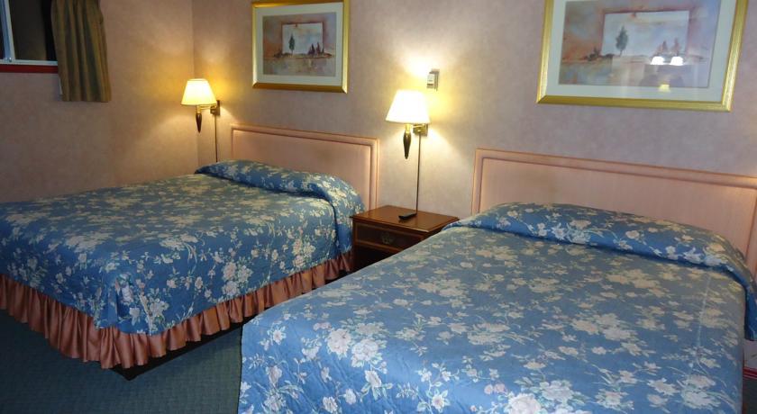 Отель Village Inn Motel