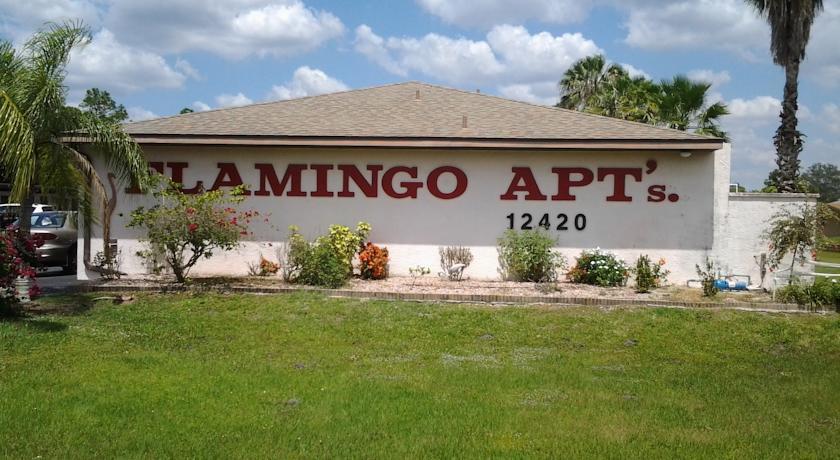 Отель Flamingo Motel