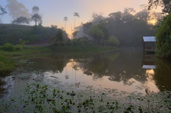 Отель La Laguna del Lagarto Lodge