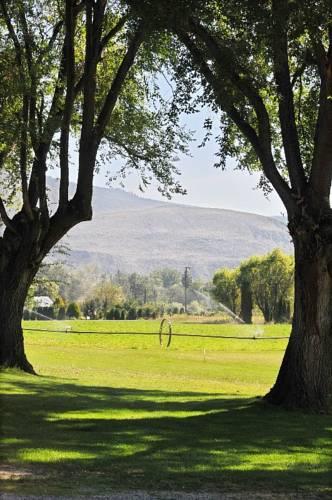 Отель Elm Tree Farm B&B
