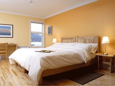 Отель Neddies Harbour Inn