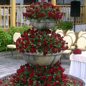 Отель Hacienda Hosteria Chorlavi
