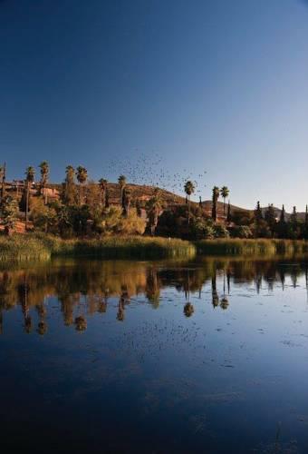 Отель Rancho Tecate Resort