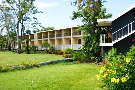 Отель Hotel Mansion del Rio