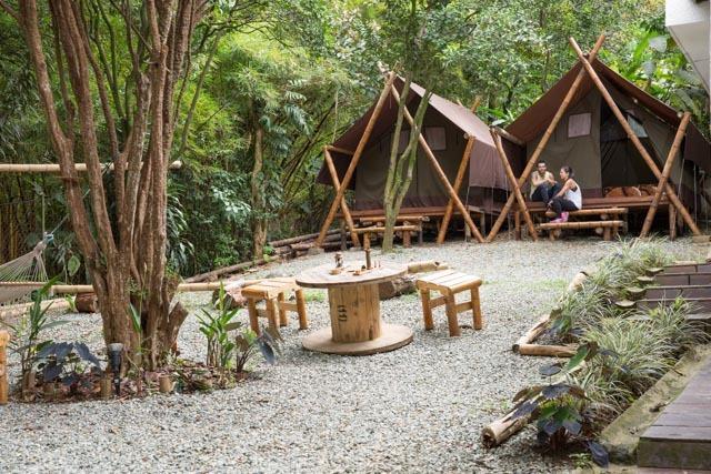Хостел Bambú Glamping House