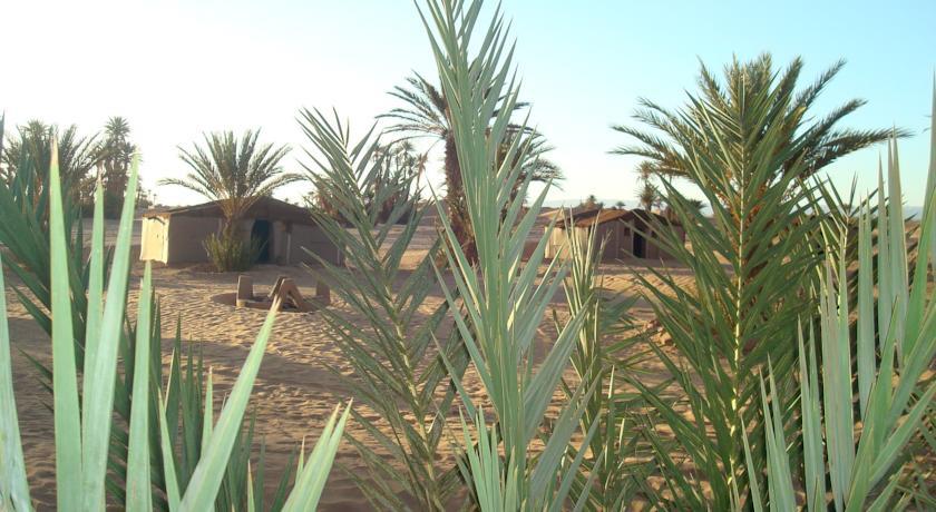 Отель Sahara du Sud