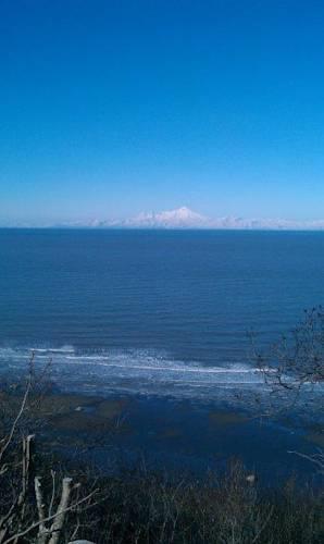 Апартаменты Kenai Peninsula - Ninilchik - Waterfront