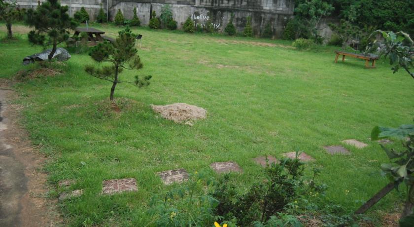 Отель Pinetree Garden