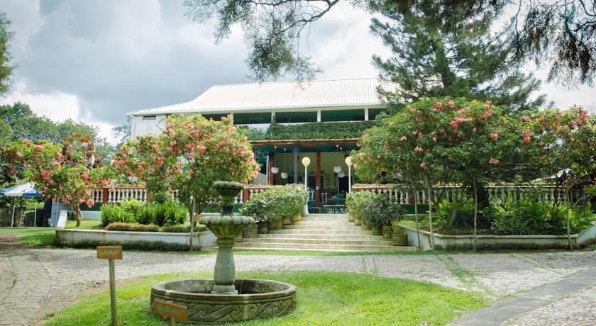 Отель Hotel Boutique Hacienda San Pedro
