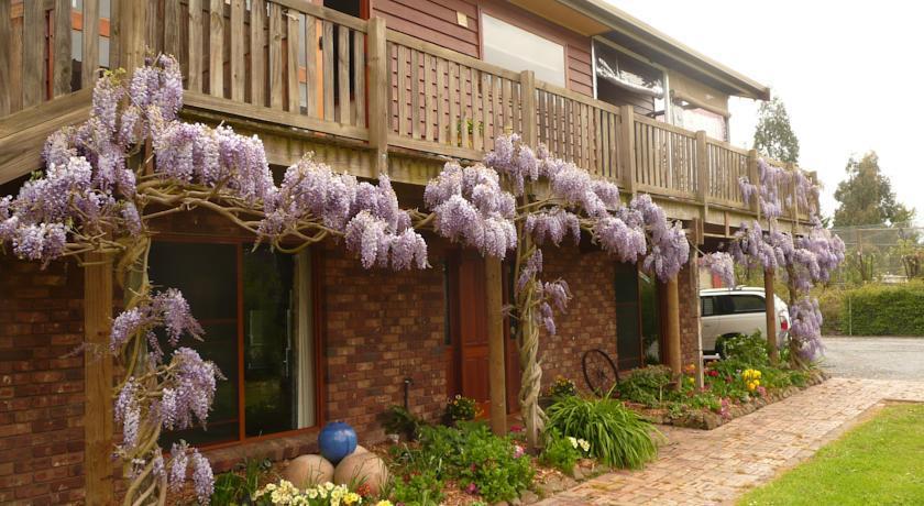 Апартаменты Wisteria Lodge