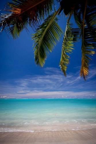 Гостевой дом Vaiula Beach Fales