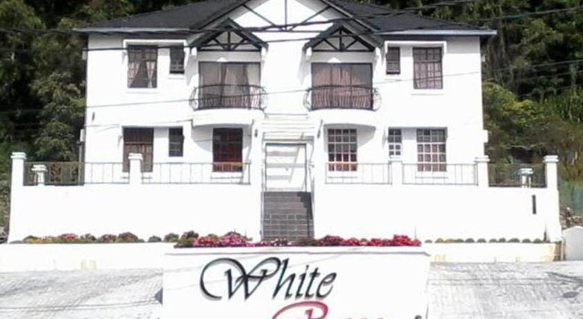 Апартаменты Apartment White Rose