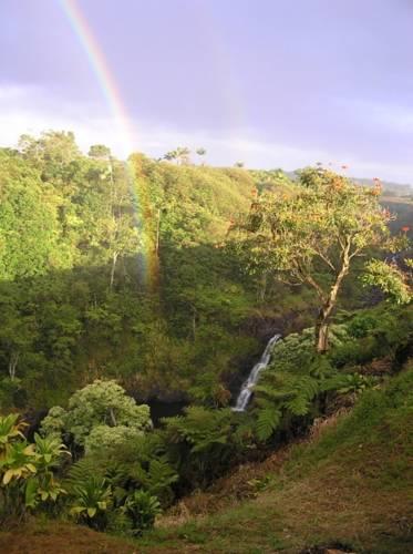 Апартаменты Five Bedroom House at Buddha's Cup Retreat at Leleka'ae Falls