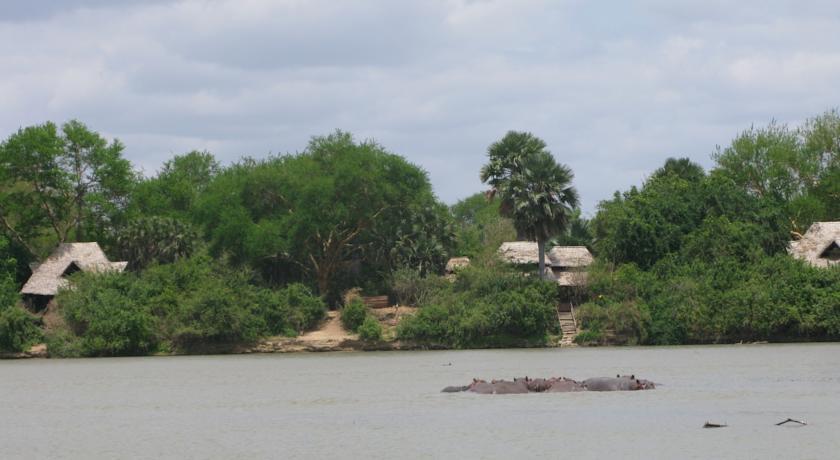 Отель Selous Wilderness Camp