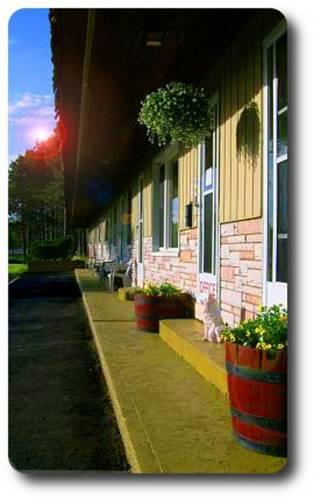 Отель MacIver's Motel and Camp