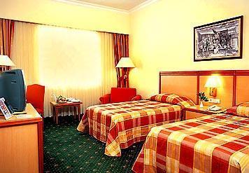 Отель Renaissance Polat Erzurum Hotel