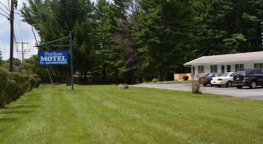 Отель Pine Grove Motel