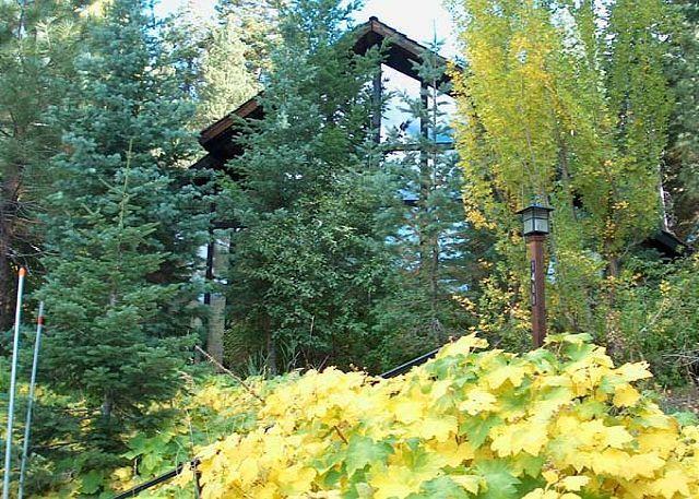 Апартаменты Jean's Cabin by Tahoe Vacation Rental