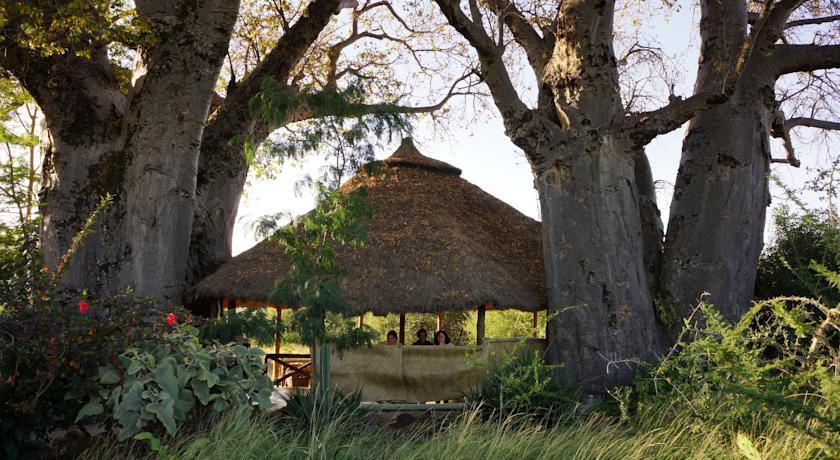 Отель Ol Mesera Tented Camp