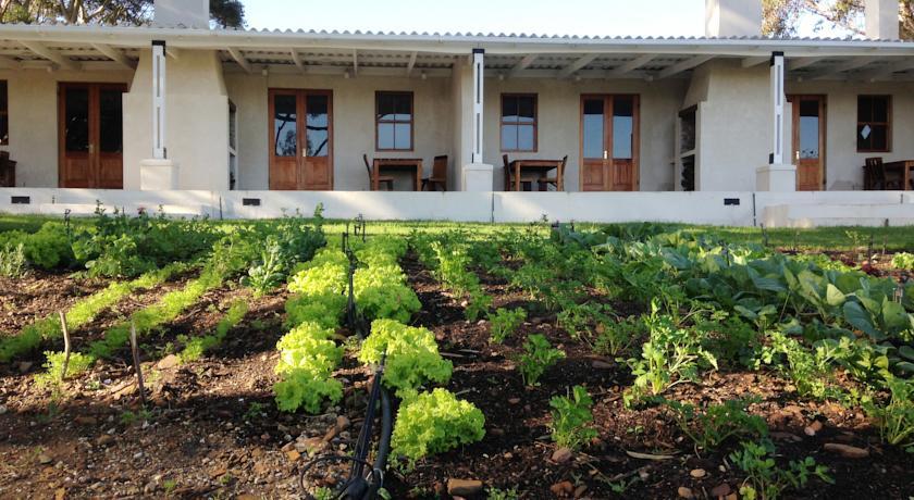 Отель Black Oystercatcher Cottages