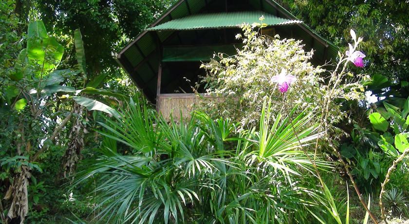 Мини-отель Ka'kau Jungle Cabinas