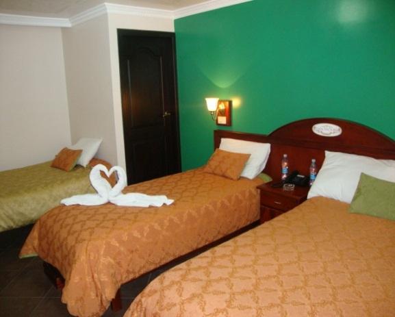 Отель Hotel Plaza Victoria