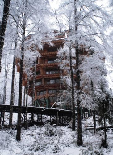 Отель Huilo Huilo Nothofagus Hotel & Spa