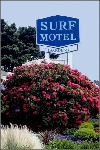 Отель Surf Motel and Gardens