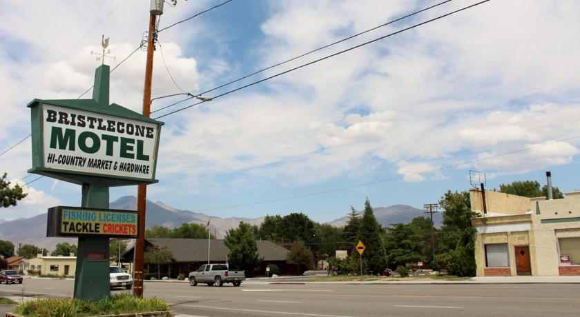 Отель Bristlecone Motel